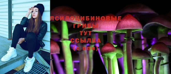 СК Белокуриха