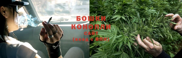 СК Белокуриха