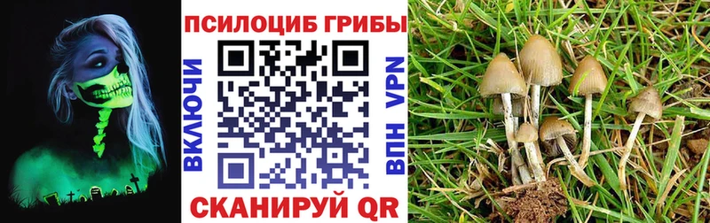 Псилоцибиновые грибы Magic Shrooms  Каменск-Уральский 